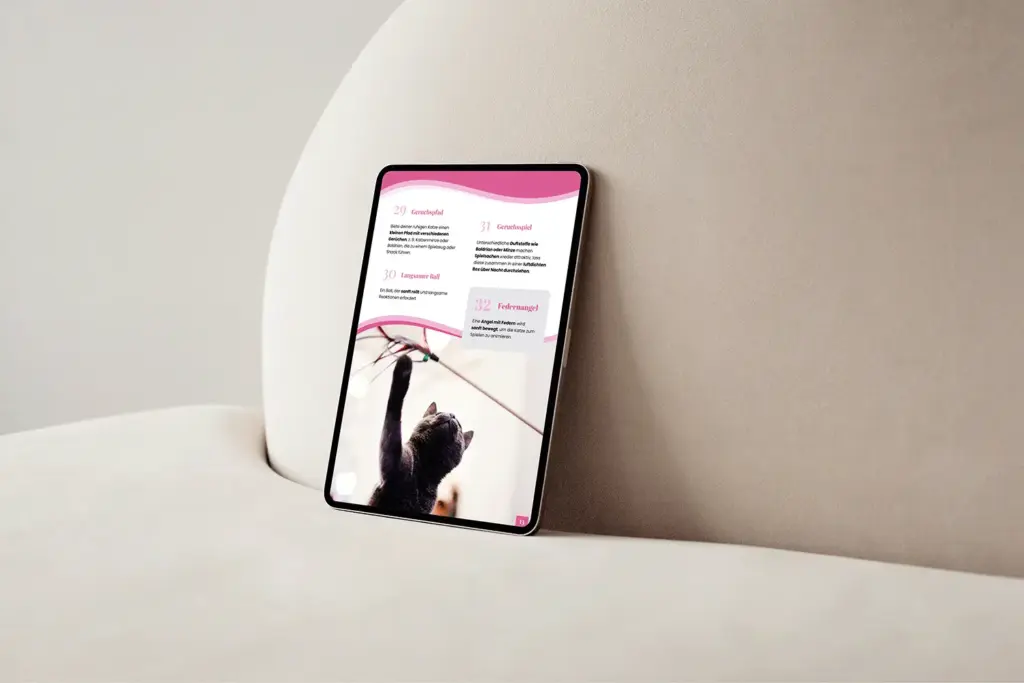 Portfolio E-Book Innenseiten Katzenspielideen