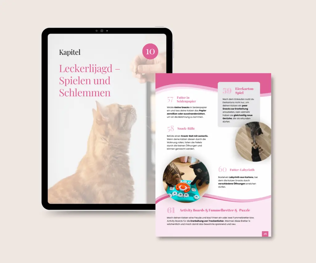 Portfolio E-Book Kapitel Katzenspielideen