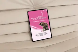 Portfolio E-Book Katzenspielideen