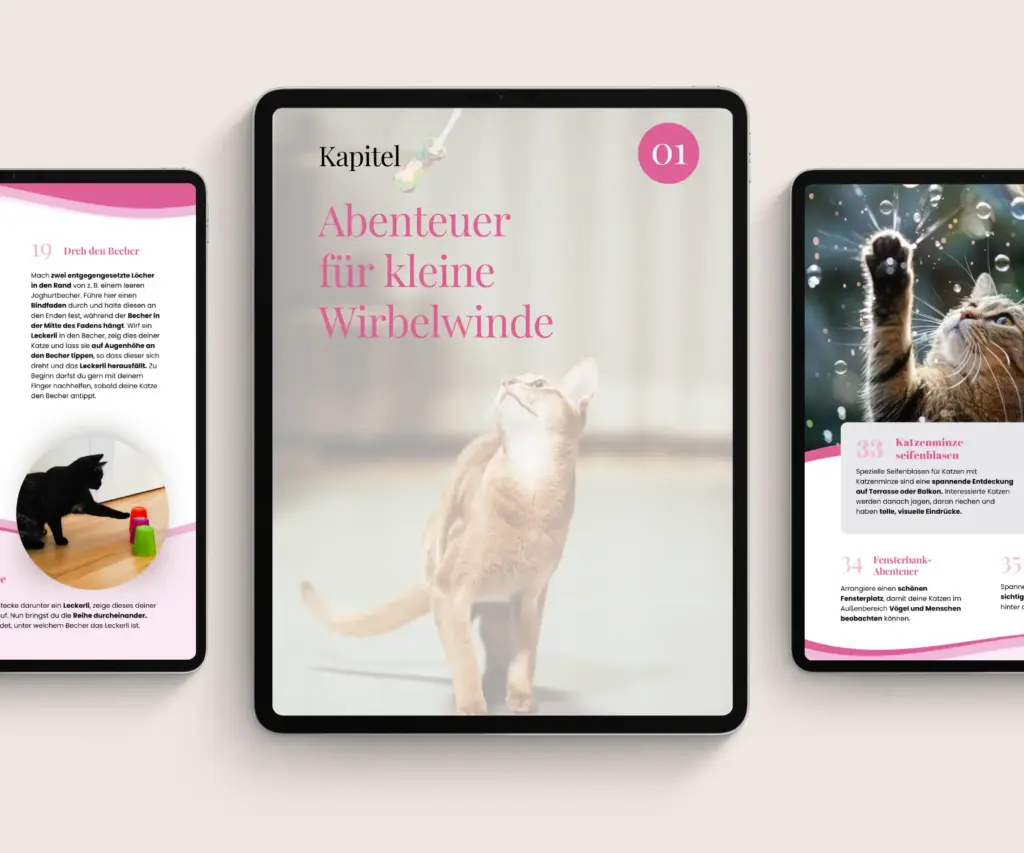Portfolio E-Book Seitenaufbau Katzenspielideen